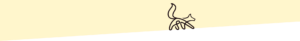 fox-cream-bg